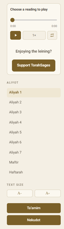 The reader controls — per-aliyah playback, speed, text size, and taamim/nekudot toggles